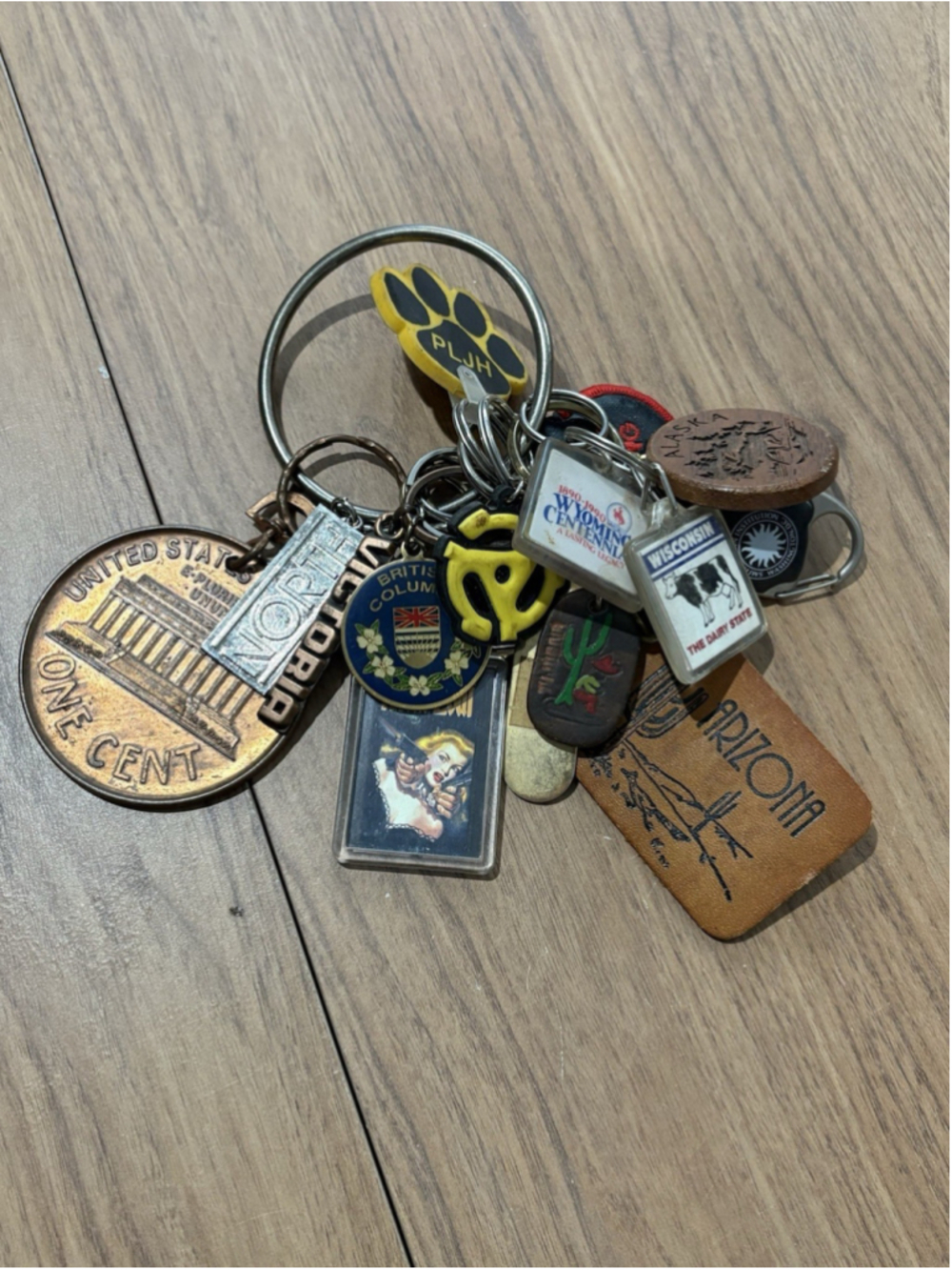 Vintage Souvenir Keychain Lot Arizona Alaska Wisconsin Disney Smithsonian